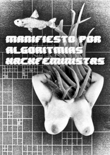 Manifiesto por algoritmias hackfeministas - Lili_Anaz y Natasha Akhmatova
